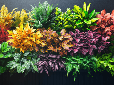 Piante da balcone per ogni stagione: Colori freschi per piccoli spazi